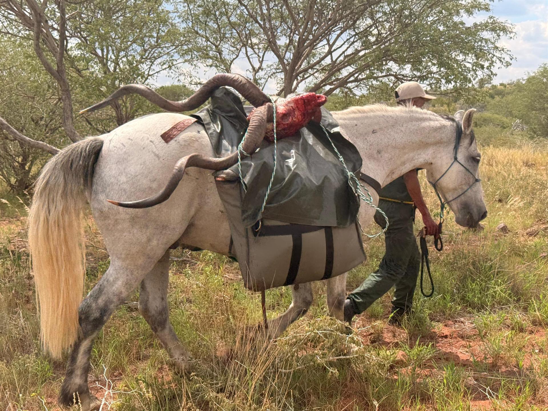 The pack horse carries the harvest home