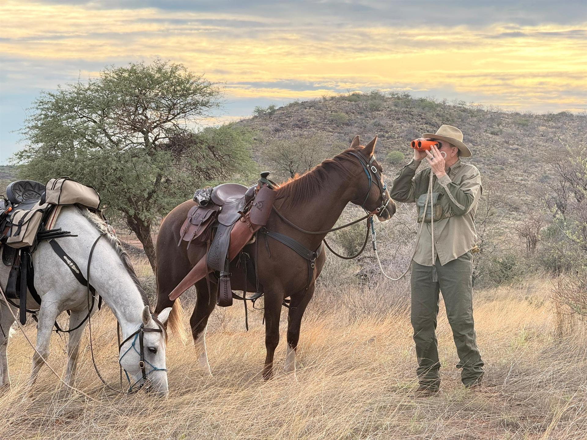 A rider glasses the horizon at golden hour
