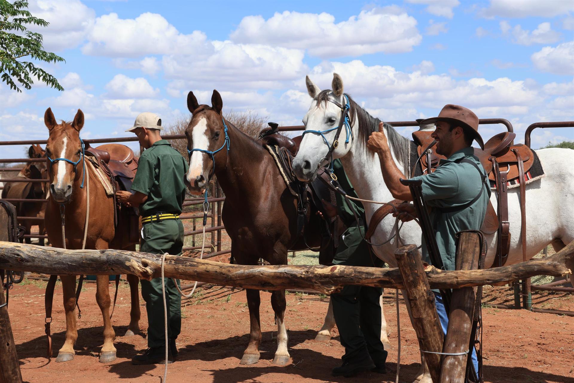 The crew saddling horses at the corral