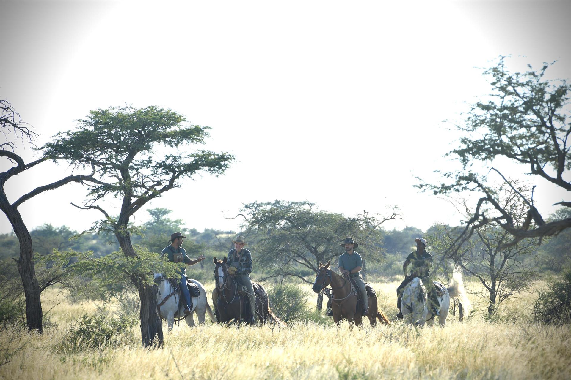 Riders on horseback crossing the Namibian bushveld at first light